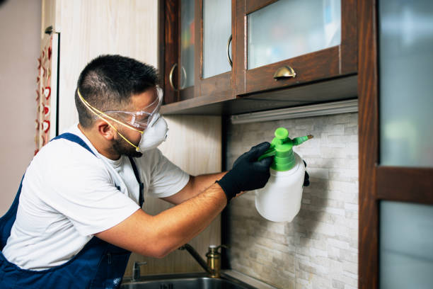 Best Pest Control Treatment  in Wentzville, MO