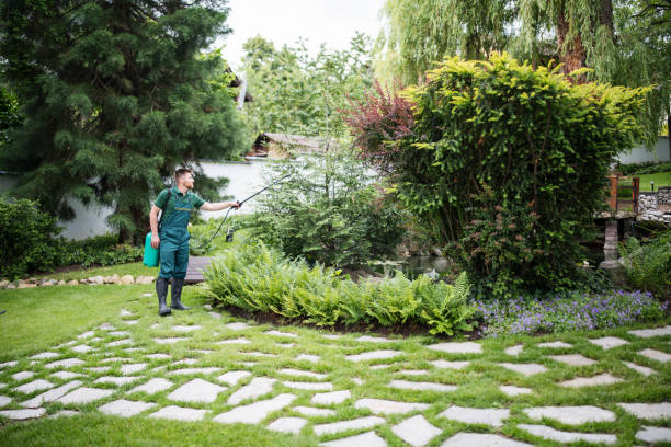 Best Affordable Exterminators  in Wentzville, MO