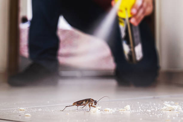 Best Pest Prevention Services  in Wentzville, MO