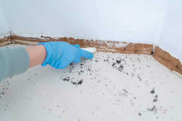 Wentzville, MO Pest Control Company